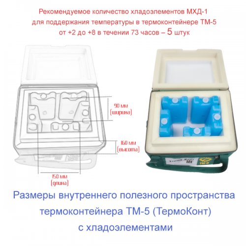 Термоконтейнер медицинский ТМ-5 в сумке-чехле фото 8