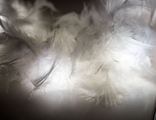 Электрогирлянда "Боа из перьев", белая, 20 тёплых белых микро LED-огней, 180+30 см, таймер, батарейки, Kaemingk фото 3
