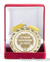 Наградная медаль "Лучший начальник на свете" (диаметр 7 см, металл, цвет: жёлтый), 10202002