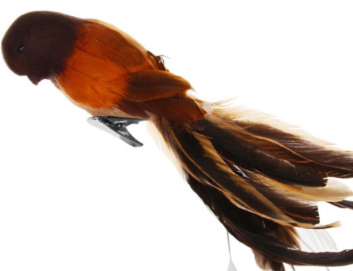 Ёлочная игрушка "Пташка милашка" на клипсе, перо, коричневая, 25 см, SHISHI фото 2