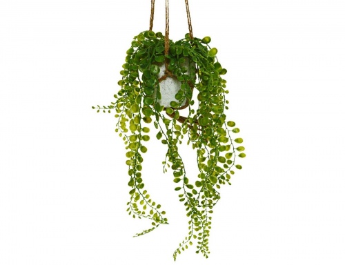 Искусственное растение "Ампельный суккулент в подвесном кашпо", пластик, 10х15 см, Kaemingk
