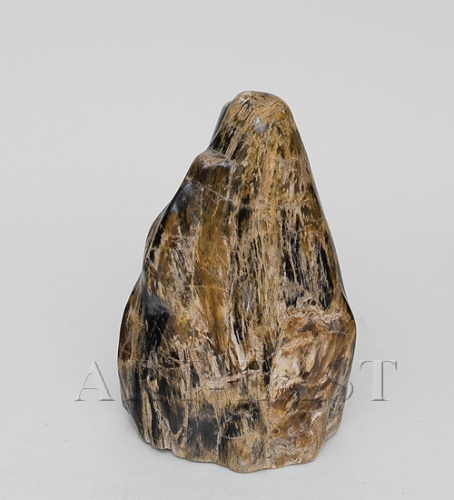TB635 Камень древесный "Эпоха динозавров" 7 кг фото 2