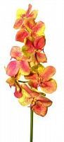 Орхидея Ванда зелено-розовая 86 см 6 шт. в упак.
