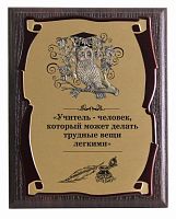 Плакетка и панно — Сова Учитель, сублимация, размеры: 26*20, материалы: МДФ, металл, цвета: жёлтый, коричневый