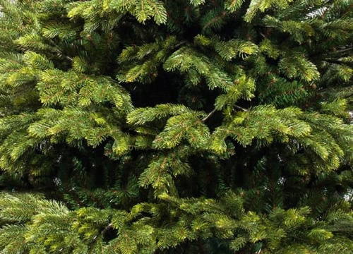 Искусственная елка Байкальская, "Литая" + ПВХ (EverChristmas) фото 2