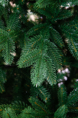 Искусственная ель Савойя, Crystal Trees фото 6