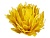 Декоративный цветок ХРИЗАНТЕМА - ПУШИСТОЕ СОЛНЫШКО на клипсе, перо, жёлтый, 12 см, Edelman