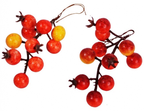 Набор аксессуаров для декорирования "Летний микс", 12 гроздей, Hogewoning фото 12