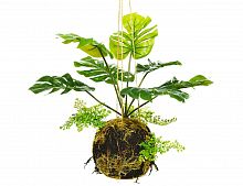 Искусственное растение подвесное "Монстера", пластик, 60х50 см, Kaemingk