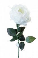 Роза Престиж  шиповник белая   68 см (24 шт.в упак.)