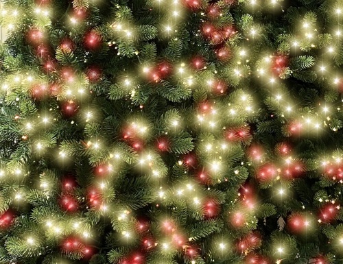 Искусственная ель ДЖОРДЖИЯ СТРОЙНАЯ (литая хвоя PE+PVC), зелёная, 2550 красных/тёплых белых LED-огней, 2.74 м, A Perfect Christmas фото 2