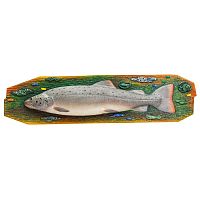 Декоративное панно на стену Форель (Таймень) карамель (подарок рыбаку, сувенир)
