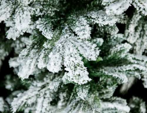 Искусственная елка с огоньками Polaris заснеженная, холодные белые лампы, ЛИТАЯ + ПВХ, BEATREES фото 5