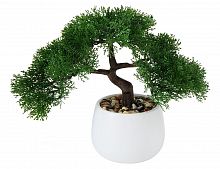 Искусственное растение "Бонсай туя" в белом кашпо, пластик, керамика, 28х15х25 см, Boltze