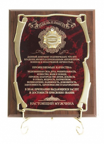 Плакетка и панно — Подарочная плакетка "Настоящий мужчина (орден)", размеры: 26*20 фото 7