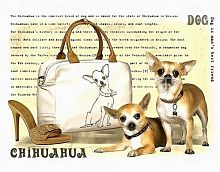 Настенная ключница Chihuahua