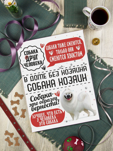 Подарочная картина "Человек собаке друг: Самоед" 30х40, упаковка в пленку с картонными углами