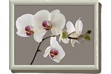 Поднос с подушкой Гармония орхидей 44х34 см