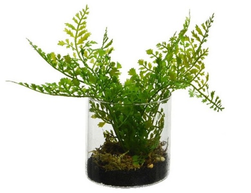 Элитное искусственное растение "Папоротник" в стеклянном кашпо, пластик, 25x21 см, Kaemingk