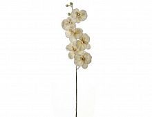 Декоративная ветка "Фаленопсис", белый, 75 см, Edelman