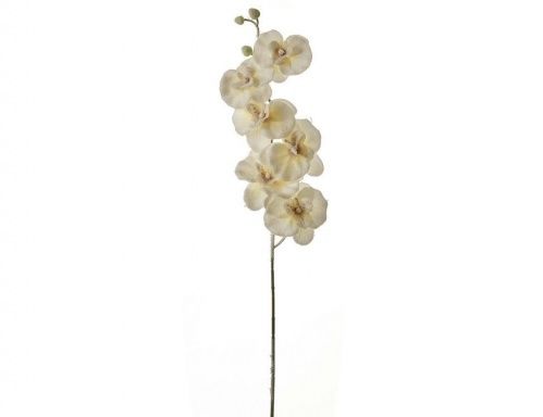 Декоративная ветка "Фаленопсис", белый, 75 см, Edelman