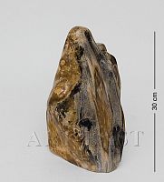 TB635 Камень древесный "Эпоха динозавров" 7 кг