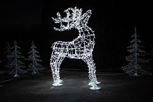 Светящийся олень Лесной, холодные белые LED-огни,  240 см, GREEN TREES
