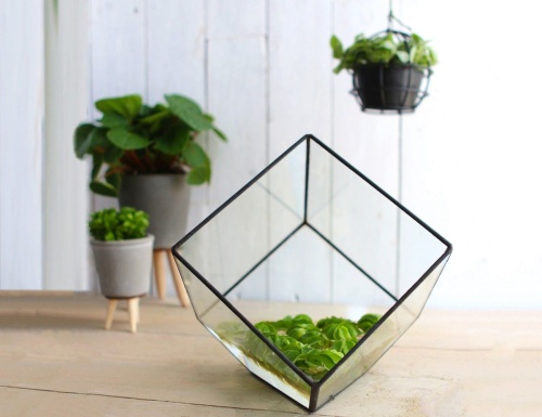 Флорариум CUBISM, стекло, 15 см, 4 SEASONS фото 3