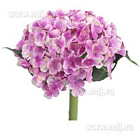 Букет цветов для декора "Гортензия" 20*20*27 см