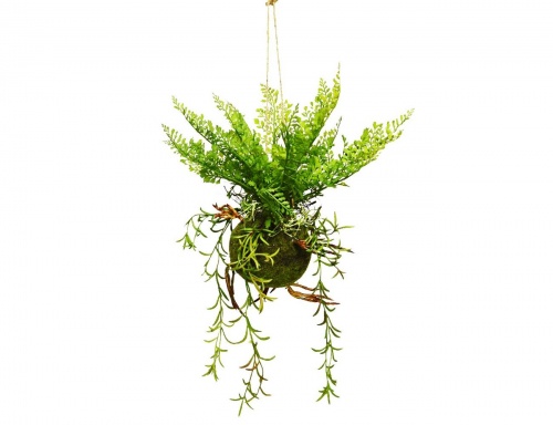 Искусственный папоротник "Лесная вудсия" в кокедаме, подвесной, пластик, натуральный мох, 48 см, Kaemingk