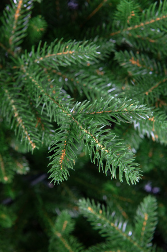 Искусственная ель Персея с вплетенной гирляндой, Crystal Trees фото 4