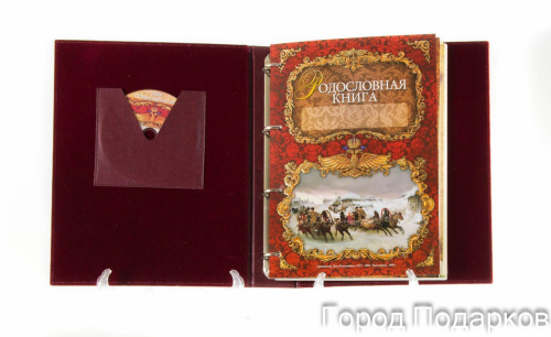 Родословная книга Летописец с картинкой в картонной коробке фото 10