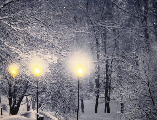 Светящаяся картина "Снежная прогулка - аллея", 6 LED-огней, 57х37 см, батарейки, Kaemingk фото 2