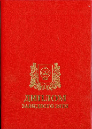 Диплом подарочный Завидного зятя