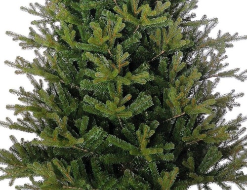 Искусственная ель "Вермонт" (хвоя - 100% литье), зелёная, Nordic Collection фото 2