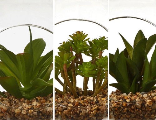 Элитное искусственное растение "Суккулент в шаре", 15х14 см, Edelman фото 2