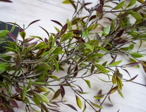 Гирлянда - подвеска "Чайные листья", 77 см, Edelman фото 3
