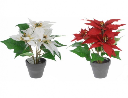 Украшение "Пуансеттии в горшочке" (три цветка), 26 см, разные модели, Koopman International