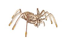 Конструктор деревянный 3D EWA SPIDER (Паук)
