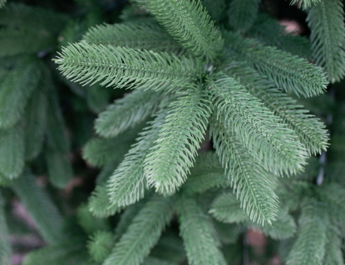 Искусственная елка Клеопатра Люкс ЛИТАЯ 100%, GREEN TREES фото 4