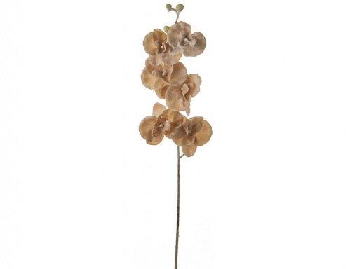 Декоративная ветка "Фаленопсис", бежевый, 75 см, Edelman