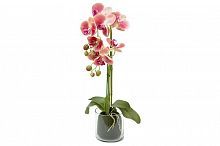 Декор.цветы Орхидея тём.розовая в стекл.вазе