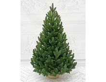 Настольная ель БАВАРСКАЯ в мешочке, ЛИТАЯ 100%, 90 см, Triumph Tree