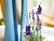 Искусственные цветы ЛАВАНДА в горшке, фиолетовые, полиэстер, 25 см, Kaemingk