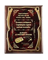 Плакетка "Кнут и пряник" - Золотая серия, 26*20, Мдф,Металл, Коричневый;Бордовый;Золотой