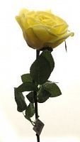 Роза Гран При ярко желтая 65 см живое прикосновение (24 шт.в упак.)