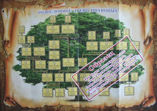 Подарочная книга - "Элитные Ламинаты" - Родословная книга "Тройка" из ламината, размеры: 24,5×31,5×5 см, материалы: картон, цвет: красный фото 7