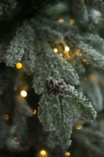 Искусственная ель Aspen Frost заснеженная, с шишками и лампами фото 2