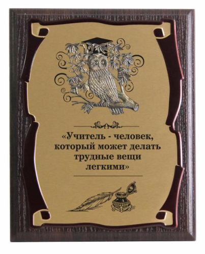 Плакетка и панно — Сова Учитель, сублимация, размеры: 26*20, материалы: МДФ, металл, цвета: жёлтый, коричневый