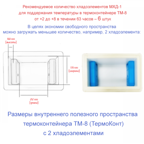 Термоконтейнер медицинский ТМ-8 в сумке-чехле фото 8